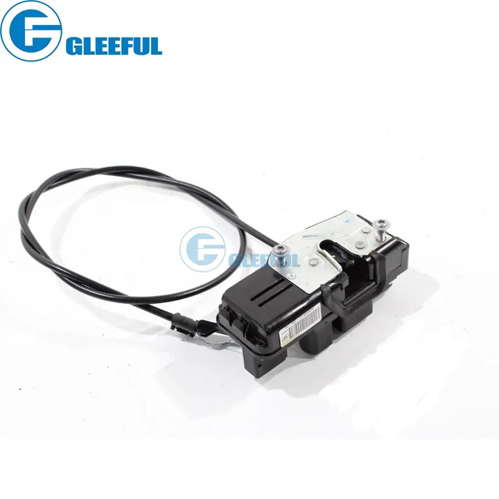 upload/pic/Tesla Model S Door Lock Actuator 6008914-00-D-1.jpg